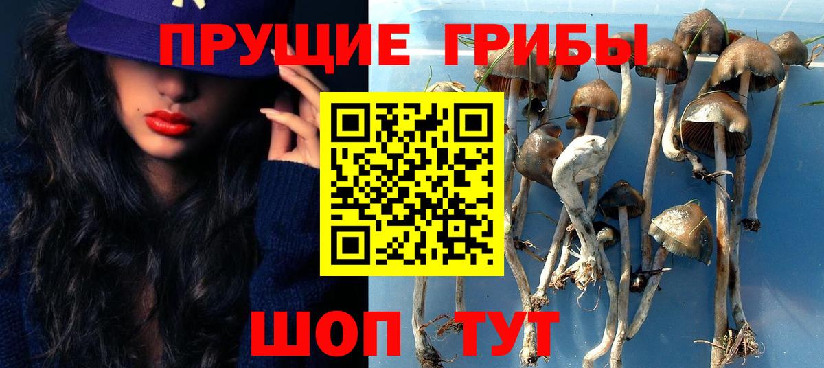 Ступино  Псилоцибиновые грибы Cubensis  Вход с VPN 